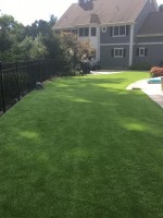 Back yard synthetic grass Southboro MA
