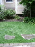 synthetic turf