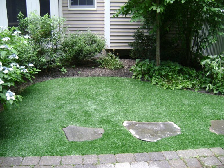 Does Synthetic Turf Harm Tree Roots? North East Synthetic Turf