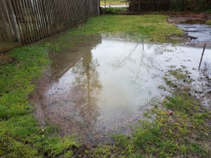 Flooded Lawn