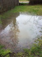 Flooded Lawn