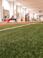 athletic turf in a gym