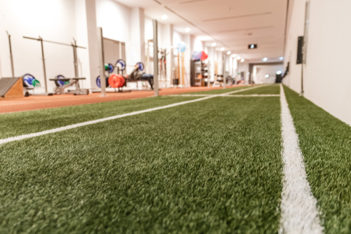 athletic turf in a gym