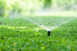 misting a putting green