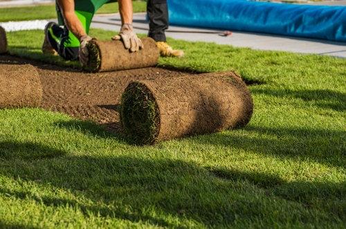 turf installations